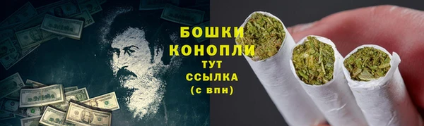 ешки Пересвет
