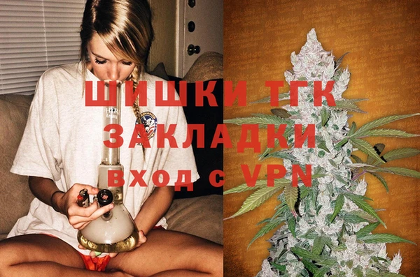 ешки Пересвет
