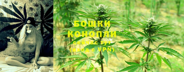 ешки Пересвет