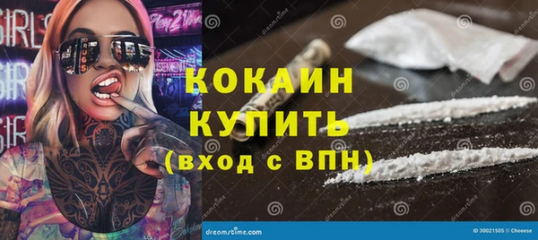 ешки Пересвет