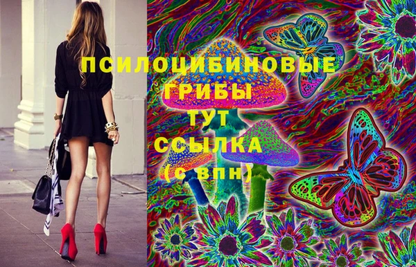 крисы Переславль-Залесский